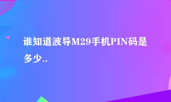 谁知道波导M29手机PIN码是多少..