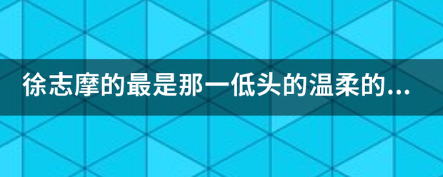 徐志摩的最是那一低头的温柔的全诗是什么？