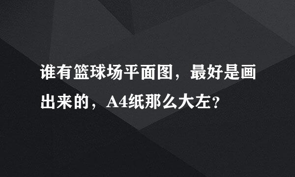 谁有篮球场平面图，最好是画出来的，A4纸那么大左？