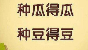 种瓜得瓜种豆得豆的意思