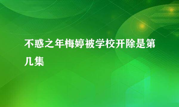 不惑之年梅婷被学校开除是第几集