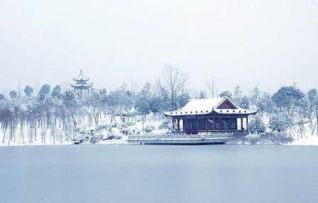 《雪落在中国的土地上来自》的主旨是什么？