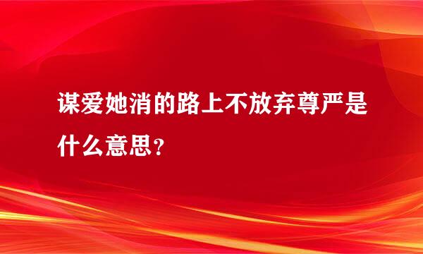 谋爱她消的路上不放弃尊严是什么意思？