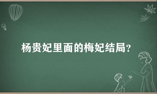 杨贵妃里面的梅妃结局？