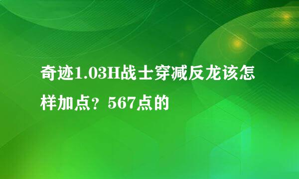 奇迹1.03H战士穿减反龙该怎样加点？567点的