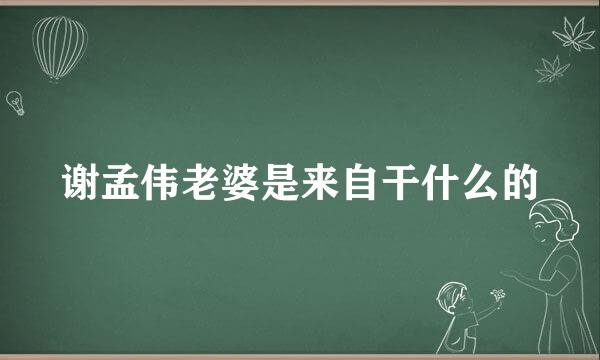 谢孟伟老婆是来自干什么的