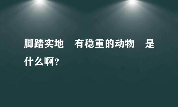 脚踏实地 有稳重的动物 是什么啊？