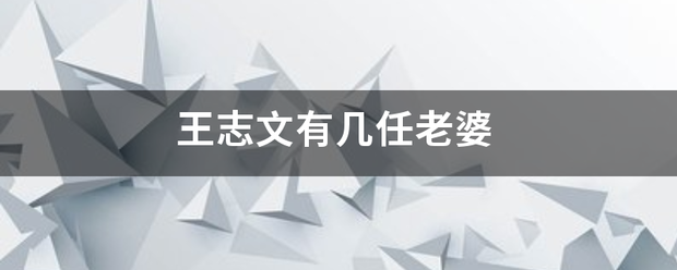 王志文有几任老婆毛互克互