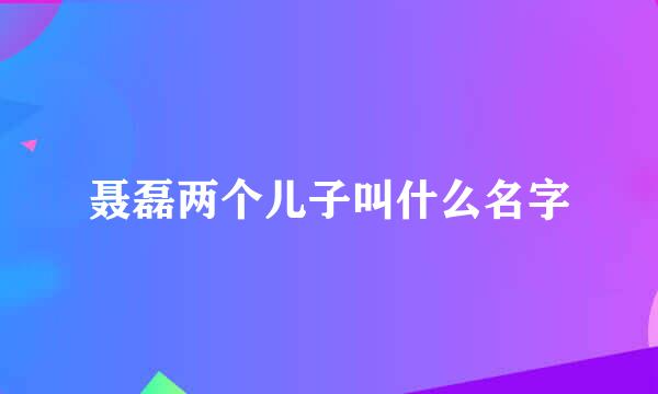 聂磊两个儿子叫什么名字