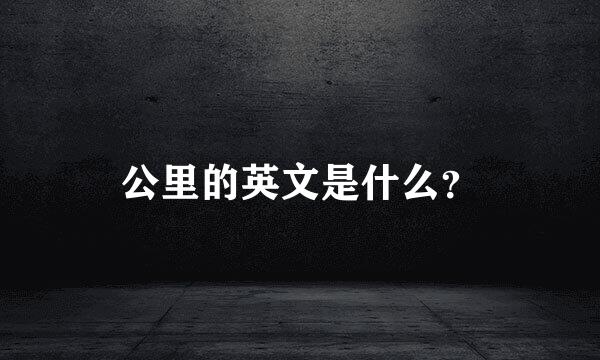 公里的英文是什么？