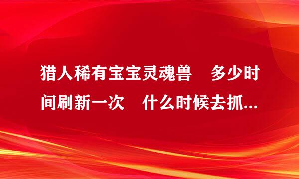 猎人稀有宝宝灵魂兽 多少时间刷新一次 什么时候去抓几率打？