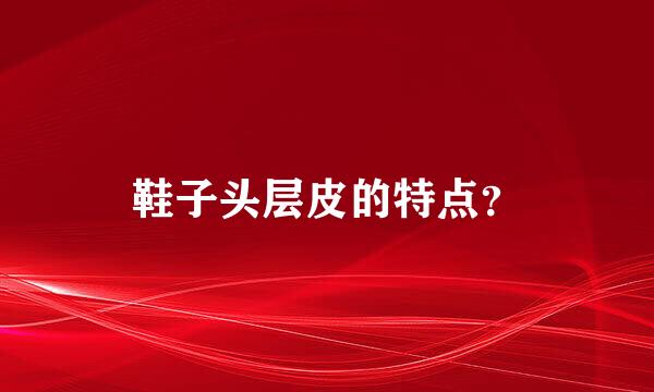 鞋子头层皮的特点？