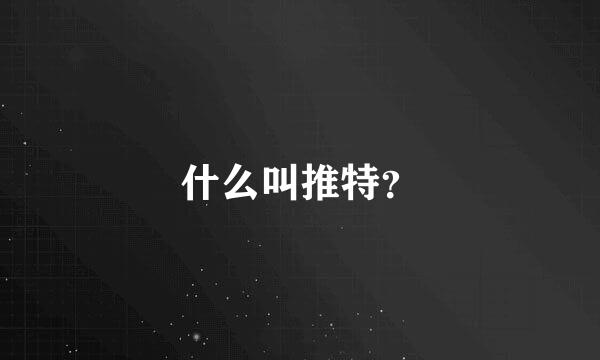 什么叫推特？