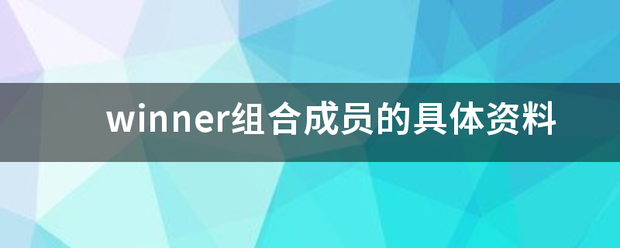 winner组合成员的具体资料