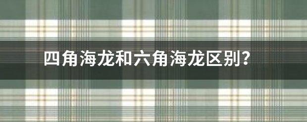 四角海龙和六角海龙区别？