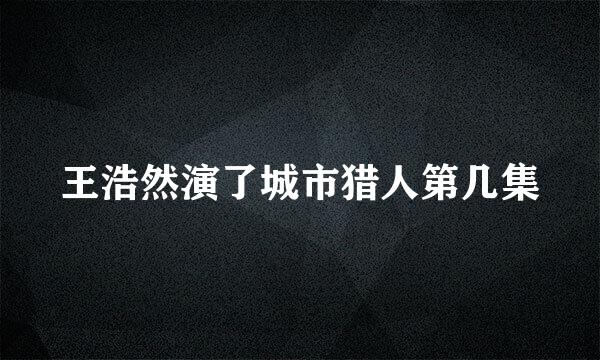 王浩然演了城市猎人第几集