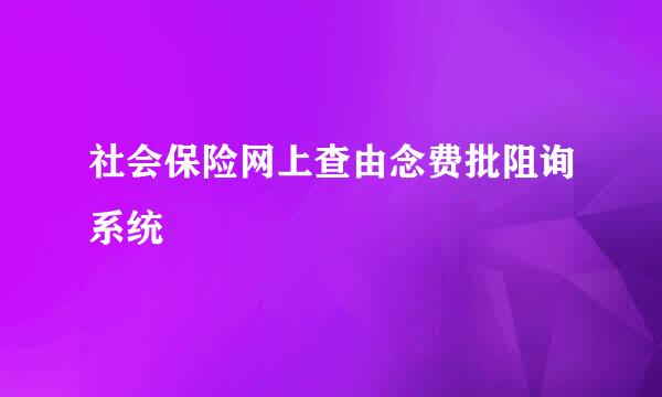 社会保险网上查由念费批阻询系统