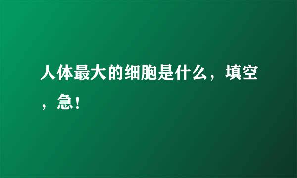 人体最大的细胞是什么，填空，急！