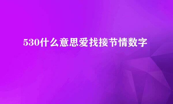 530什么意思爱找接节情数字