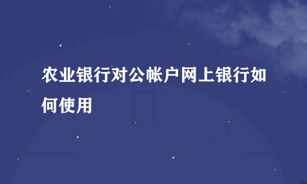 农业银行对公帐户网上银行如何使用