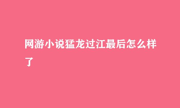 网游小说猛龙过江最后怎么样了