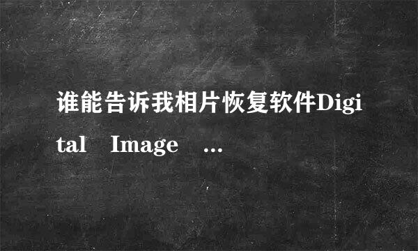 谁能告诉我相片恢复软件Digital Image Recovery具体怎么用，我是英文界面