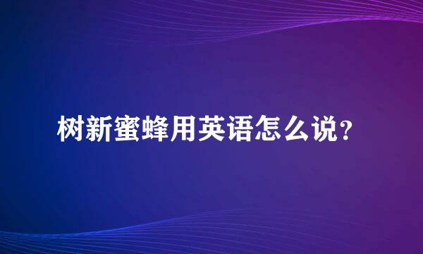 树新蜜蜂用英语怎么说？