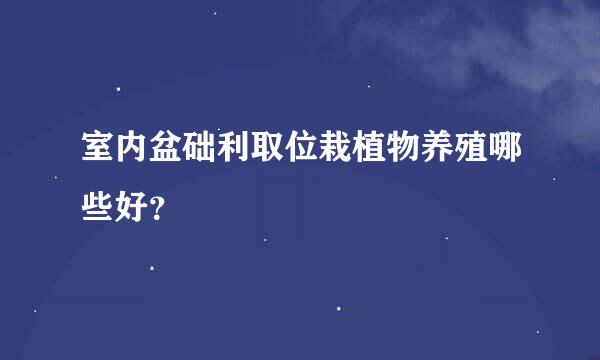 室内盆础利取位栽植物养殖哪些好？