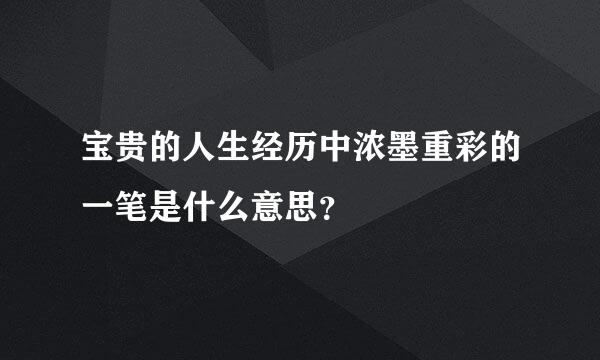 宝贵的人生经历中浓墨重彩的一笔是什么意思？