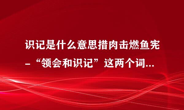 识记是什么意思措肉击燃鱼宪-“领会和识记”这两个词分别是什么意思？