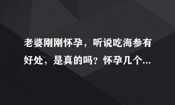 老婆刚刚怀孕，听说吃海参有好处，是真的吗？怀孕几个月的时候吃扬最好？