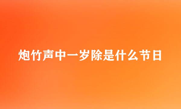 炮竹声中一岁除是什么节日