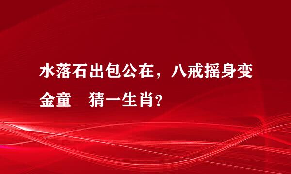 水落石出包公在，八戒摇身变金童 猜一生肖？