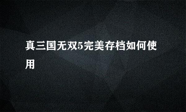 真三国无双5完美存档如何使用