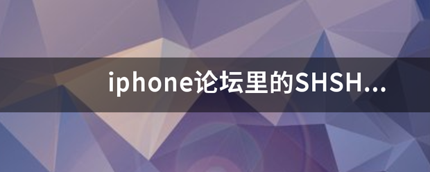 iphon来自e论坛里的SHSH是什么意思？