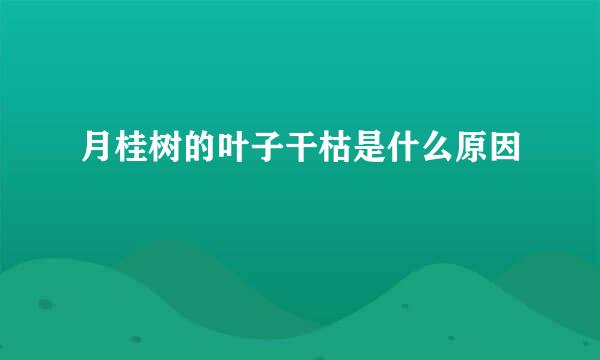 月桂树的叶子干枯是什么原因