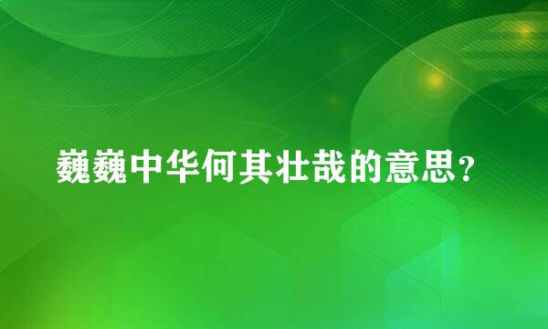 巍巍中华何其壮哉的意思？