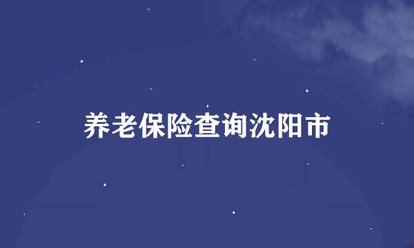 养老保险查询沈阳市