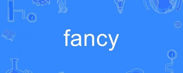 fancy什么意思