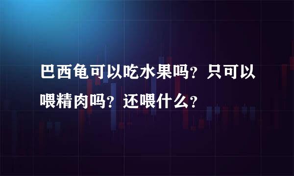 巴西龟可以吃水果吗？只可以喂精肉吗？还喂什么？