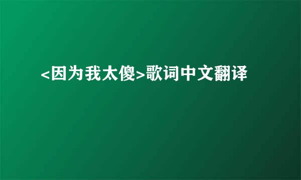 <因为我太傻>歌词中文翻译