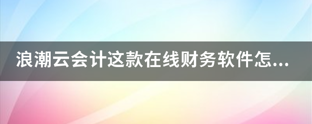 浪潮云会计这款在线财务软件怎么样？