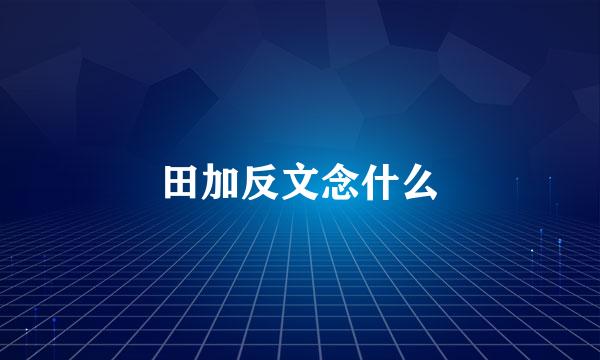 田加反文念什么