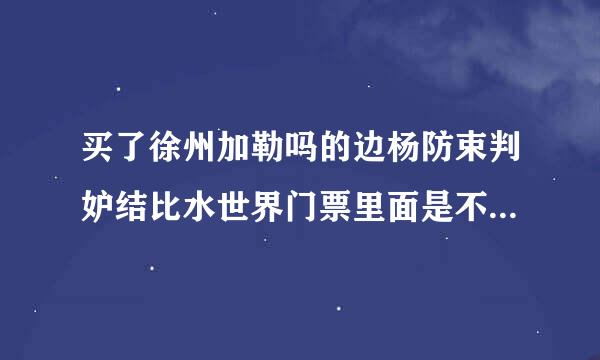 买了徐州加勒吗的边杨防束判妒结比水世界门票里面是不是随便玩？