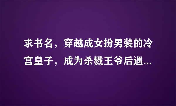 求书名，穿越成女扮男装的冷宫皇子，成为杀戮王爷后遇见了大臣之子，装傻充愣实则强军助供破悍的男主