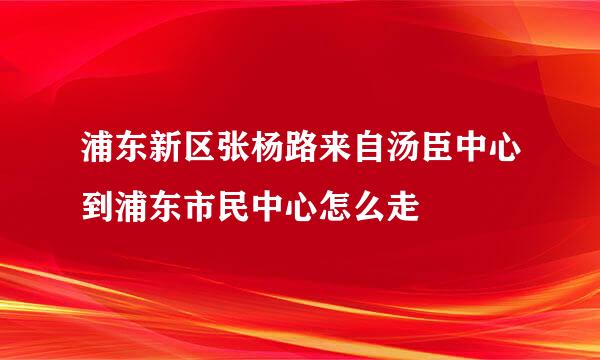 浦东新区张杨路来自汤臣中心到浦东市民中心怎么走