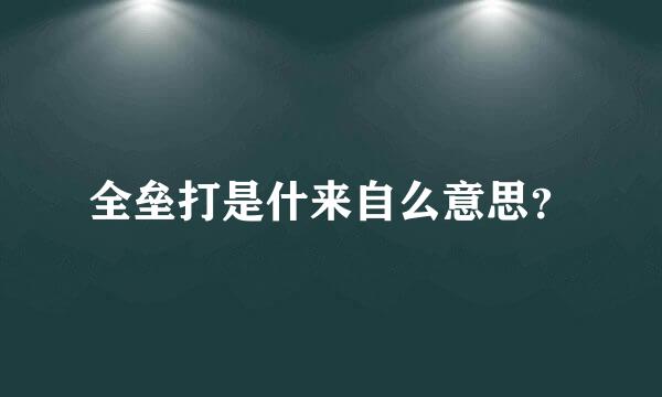 全垒打是什来自么意思？