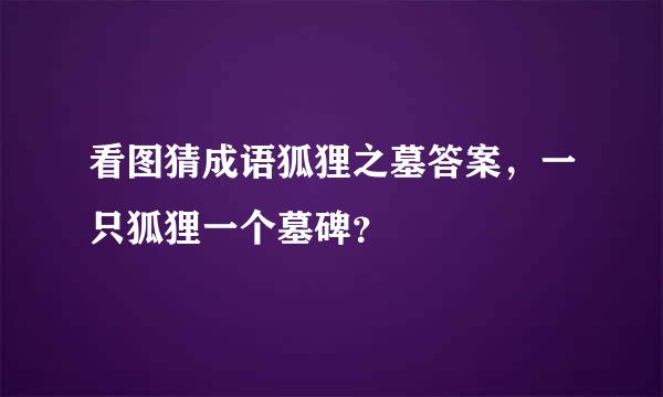 看图猜成语狐狸之墓答案，一只狐狸一个墓碑？