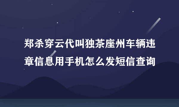 郑杀穿云代叫独茶座州车辆违章信息用手机怎么发短信查询