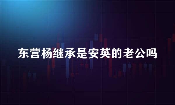 东营杨继承是安英的老公吗